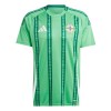 Maillot de Supporter Irlande Du Nord Domicile 2024 Pour Homme